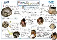 2019yamaguchi22.jpg